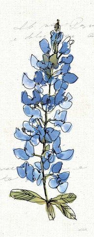 Texas Bluebonnet III White Modern Wood Framed Art Print with Double Matting by Tavoletti, Anne