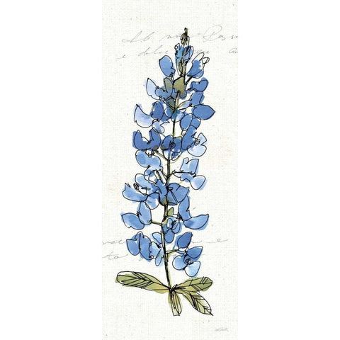 Texas Bluebonnet III Gold Ornate Wood Framed Art Print with Double Matting by Tavoletti, Anne