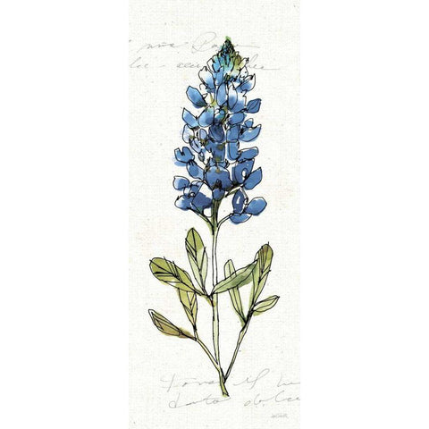 Texas Bluebonnet IV Gold Ornate Wood Framed Art Print with Double Matting by Tavoletti, Anne