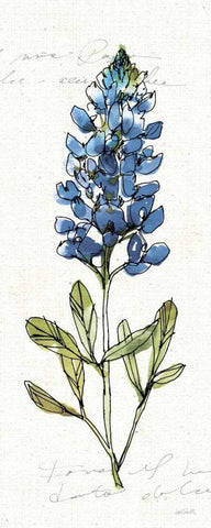 Texas Bluebonnet IV White Modern Wood Framed Art Print with Double Matting by Tavoletti, Anne