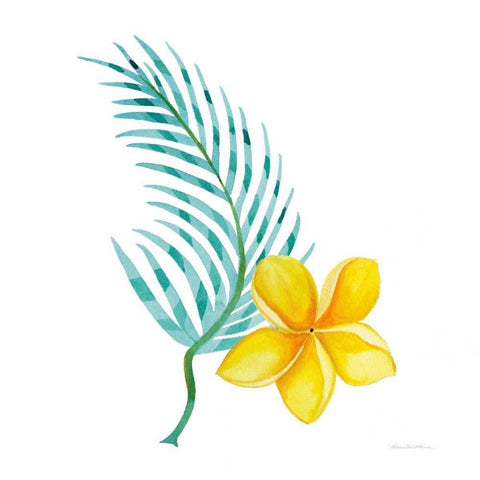 Treasures of the Tropics IX White Modern Wood Framed Art Print by McKenna, Kathleen Parr