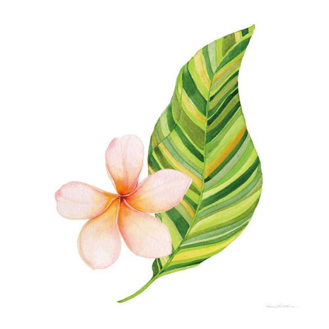 Treasures of the Tropics X Black Modern Wood Framed Art Print with Double Matting by McKenna, Kathleen Parr