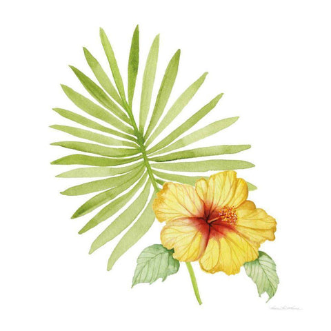 Treasures of the Tropics XI White Modern Wood Framed Art Print with Double Matting by McKenna, Kathleen Parr