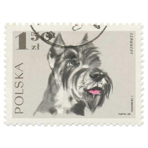 Poland Stamp I on White Black Modern Wood Framed Art Print with Double Matting by Wild Apple Portfolio