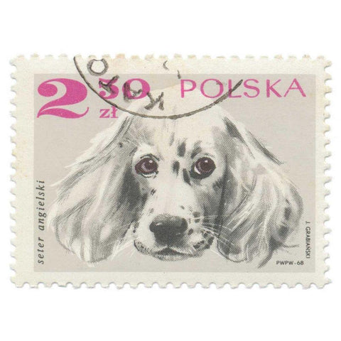 Poland Stamp IV on White Black Modern Wood Framed Art Print with Double Matting by Wild Apple Portfolio