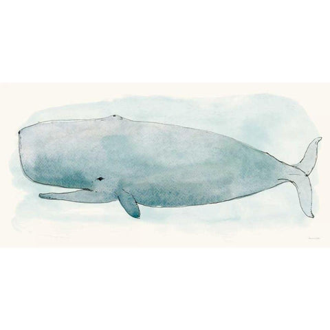 Sea Life V Black Modern Wood Framed Art Print with Double Matting by Miller, Sara Zieve