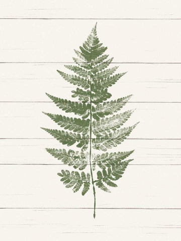 Fern Print I White Modern Wood Framed Art Print with Double Matting by Hershey, Moira