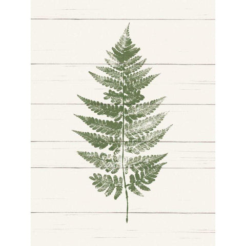 Fern Print I Black Modern Wood Framed Art Print by Hershey, Moira