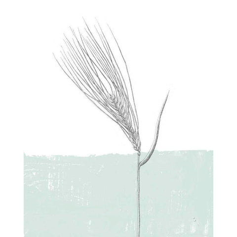 Barley White Modern Wood Framed Art Print by Adams, Sarah