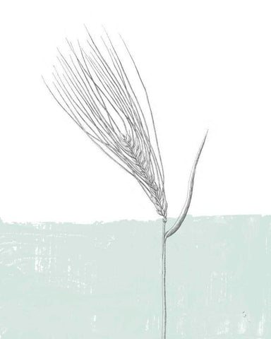 Barley White Modern Wood Framed Art Print with Double Matting by Adams, Sarah