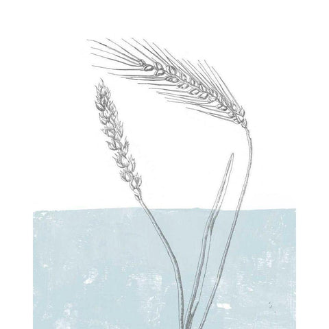 Wheat Black Modern Wood Framed Art Print by Adams, Sarah