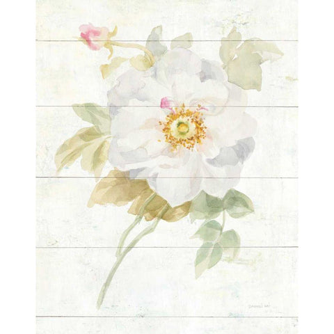 June Blooms III White Modern Wood Framed Art Print by Nai, Danhui