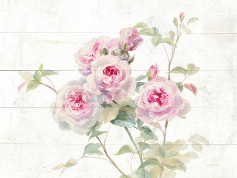 Sweet Roses on Wood White Modern Wood Framed Art Print with Double Matting by Nai, Danhui