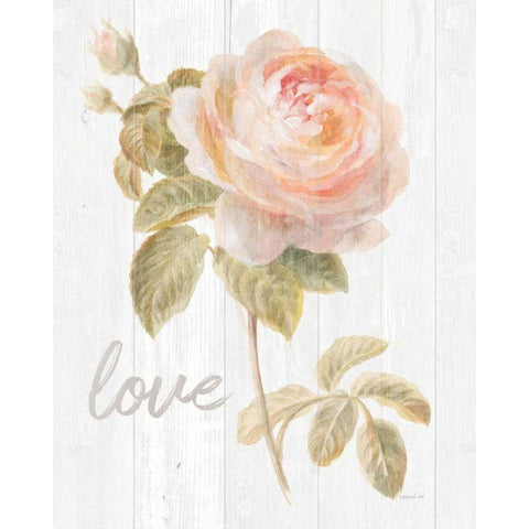 Garden Rose on Wood Love Gold Ornate Wood Framed Art Print with Double Matting by Nai, Danhui