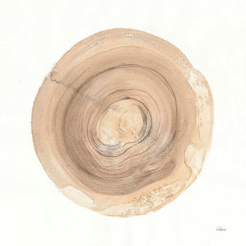 Counting the Years VI White Modern Wood Framed Art Print with Double Matting by Hristova, Albena