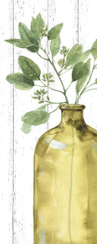 Mixed Greens LXXXIV Shiplap Black Ornate Wood Framed Art Print with Double Matting by Audit, Lisa