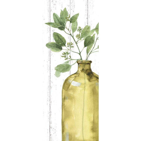 Mixed Greens LXXXIV Shiplap Black Modern Wood Framed Art Print by Audit, Lisa