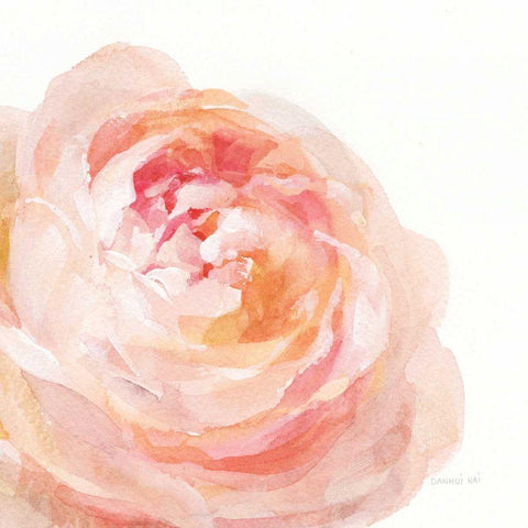Garden Rose on White Crop White Modern Wood Framed Art Print by Nai, Danhui