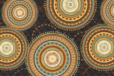 Suds IV Black Ornate Wood Framed Art Print with Double Matting by Charron, Veronique