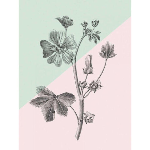 Conversations on Botany VII Color Block Gold Ornate Wood Framed Art Print with Double Matting by Wild Apple Portfolio