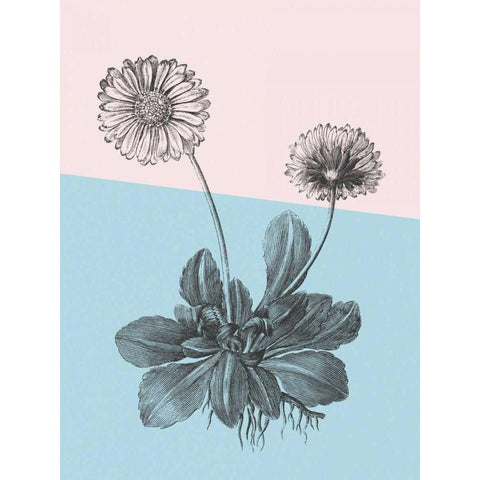 Conversations on Botany IX Color Block Black Modern Wood Framed Art Print by Wild Apple Portfolio