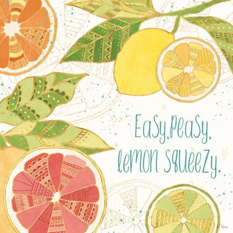 Citrus Splash III Black Modern Wood Framed Art Print with Double Matting by Charron, Veronique