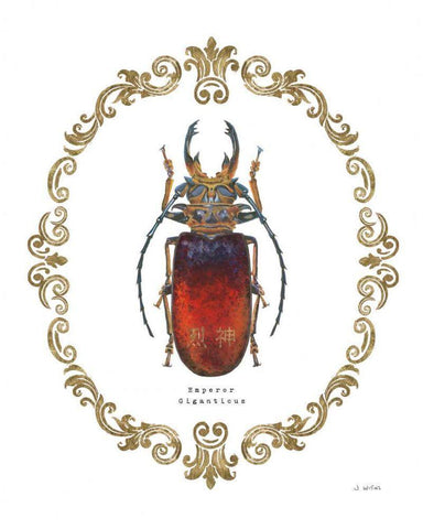 Adorning Coleoptera I Black Ornate Wood Framed Art Print with Double Matting by Wiens, James