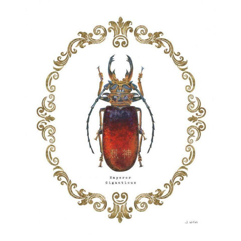 Adorning Coleoptera I Gold Ornate Wood Framed Art Print with Double Matting by Wiens, James