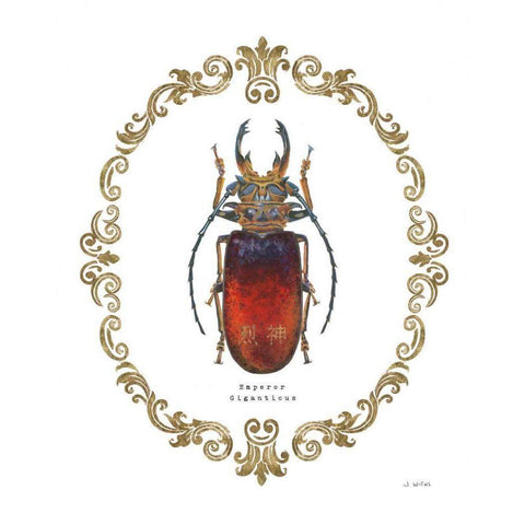 Adorning Coleoptera I Black Modern Wood Framed Art Print with Double Matting by Wiens, James