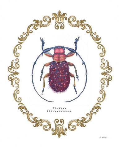Adorning Coleoptera II White Modern Wood Framed Art Print with Double Matting by Wiens, James