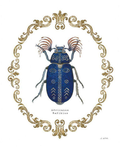 Adorning Coleoptera III Black Ornate Wood Framed Art Print with Double Matting by Wiens, James