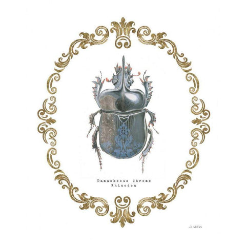 Adorning Coleoptera IV Black Modern Wood Framed Art Print with Double Matting by Wiens, James