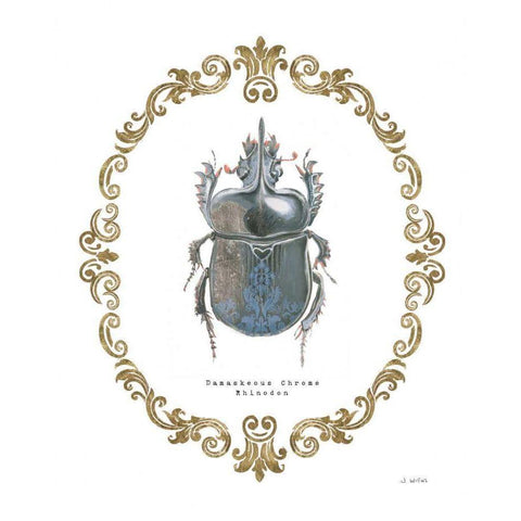 Adorning Coleoptera IV Gold Ornate Wood Framed Art Print with Double Matting by Wiens, James