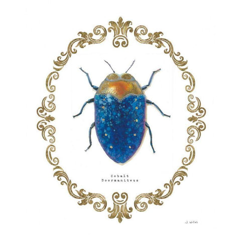 Adorning Coleoptera V Black Modern Wood Framed Art Print by Wiens, James