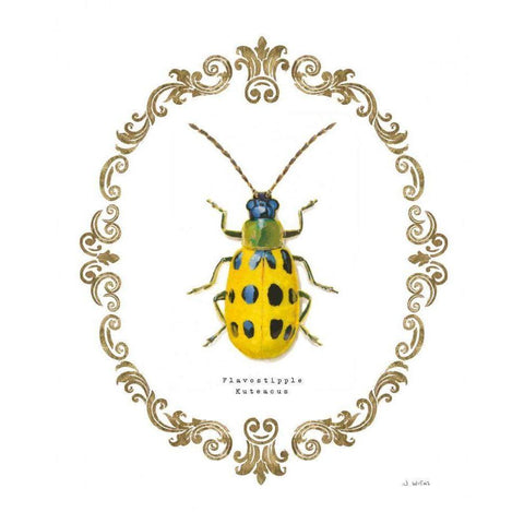 Adorning Coleoptera VII Black Modern Wood Framed Art Print with Double Matting by Wiens, James
