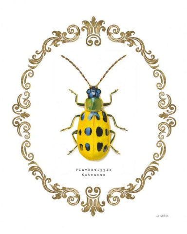 Adorning Coleoptera VII Black Ornate Wood Framed Art Print with Double Matting by Wiens, James