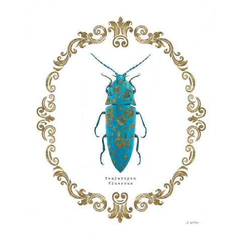 Adorning Coleoptera VIII Gold Ornate Wood Framed Art Print with Double Matting by Wiens, James