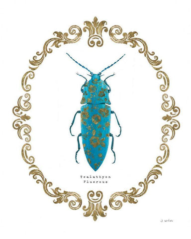 Adorning Coleoptera VIII White Modern Wood Framed Art Print with Double Matting by Wiens, James