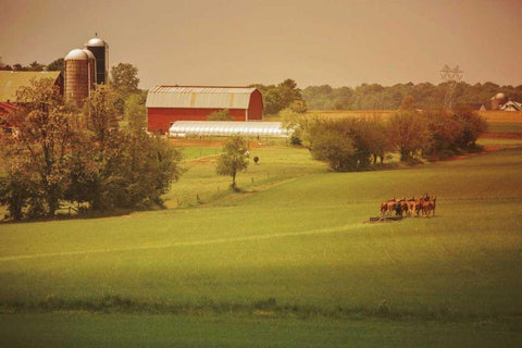 Fall Farm White Modern Wood Framed Art Print with Double Matting by Aledanda