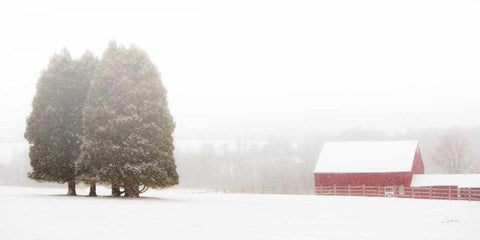 Winter Farm White Modern Wood Framed Art Print with Double Matting by Aledanda