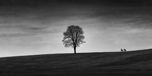 Image Only