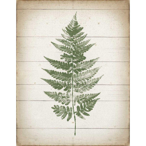 Fern Print I v2 Gold Ornate Wood Framed Art Print with Double Matting by Hershey, Moira