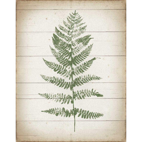 Fern Print II v2 Gold Ornate Wood Framed Art Print with Double Matting by Hershey, Moira