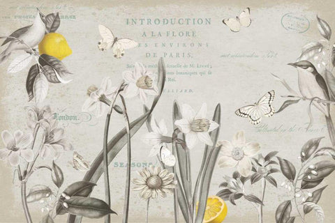 Citron Curiosities I Gray White Modern Wood Framed Art Print with Double Matting by Pertiet, Katie