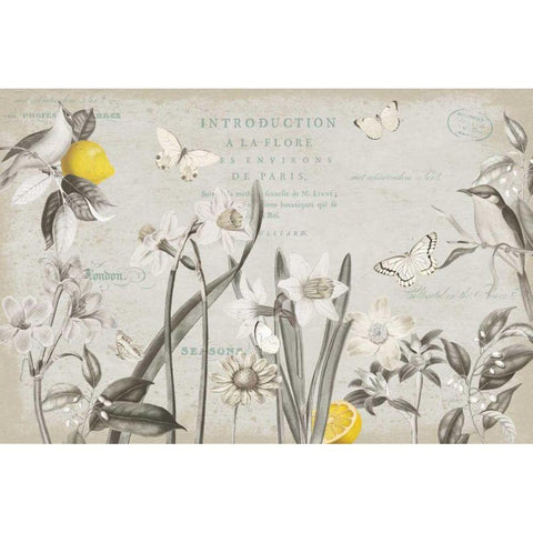 Citron Curiosities I Gray White Modern Wood Framed Art Print by Pertiet, Katie