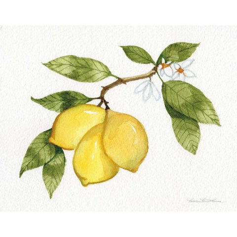 Citrus Garden I Black Modern Wood Framed Art Print with Double Matting by McKenna, Kathleen Parr