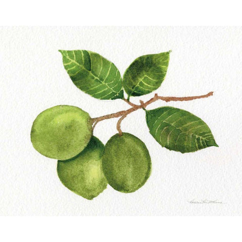 Citrus Garden II Gold Ornate Wood Framed Art Print with Double Matting by McKenna, Kathleen Parr