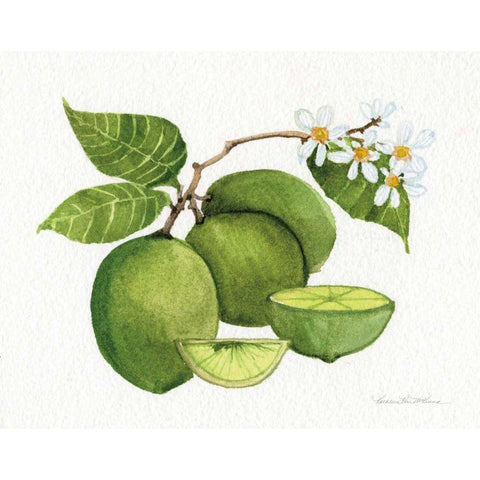 Citrus Garden IV Black Modern Wood Framed Art Print by McKenna, Kathleen Parr