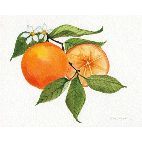 Citrus Garden V Gold Ornate Wood Framed Art Print with Double Matting by McKenna, Kathleen Parr