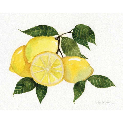 Citrus Garden VI Black Modern Wood Framed Art Print by McKenna, Kathleen Parr